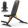 YAMO YW300 Panca Pesi Pieghevole | Panca Regolabile 8 livelli schienale & 3 posizioni seduta | Panca inclinata e piana per home gym | 300 kg capacità, comfort ergonomico, Nero