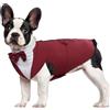 Kuoser Set smoking e bandana per cani, abbigliamento per animali domestici, cappotto per cani con papillon rimovibile, camicia per cuccioli per matrimoni, Halloween, feste di compleanno, S-XXL
