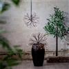 Eglo Stardust decorazione LED, LED, 475-31, Stardust [Lampade per Esterni > Lampade a Sospensione]