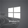 Microsoft Windows 11 Home