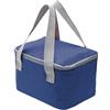Nanxson Borsa Termica Porta Pranzo 4L Frigo Riutilizzabile Portatile Borsa | Mini Borsa Frigo Piccola Borsa,Impermeabile Lunch Bag,Termica Pranzo al Sacco,per Lavoro,Ufficio,Scuola,Picnic,Viaggi