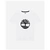 Timberland Set Jr - Completo - Bianco