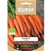 Blumen carota nantese 2