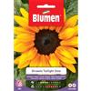 Blumen girasole twilight zone