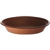Erba Sottovaso leader per vaso da cm 33 terracotta