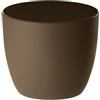 Erba Coprivaso milano cm 22x19 tortora