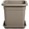 Erba Vaso Decor quadro cm 42 tortora