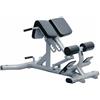 Toorx Fitness Panca Lombare Regolabile WBX-2600 LINEA TOORX STRENGTH PROFESSIONALE Colore Silver