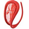 SuperLove Invisible Strapless C String Transparent Floral Lace Red