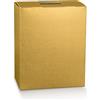 Scotton Cubotto Natale Portapanettone e Bottiglia 280 x 200 x 350 Mm Fibra Oro 1 Pz