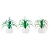 ARPIMEX Tillandsia in Vaso di Ceramica D 17 Cm 1 Pz