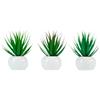 ARPIMEX Tillandsia in Vaso di Ceramica D 18 Cm 1 Pz