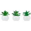 ARPIMEX Agave in Vaso di Ceramica D 14 Cm 1 Pz