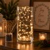 EDG Enzo De Gasperi Luci Natale MicroLed X 40 2,9 + 50 Cm Ivory
