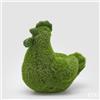 EDG Enzo De Gasperi Decoro Erba Gallina H 50 Cm L. 36 Cm L 46 Cm Green