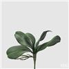 EDG Enzo De Gasperi Orchidea Phalaenopsis Foglia x5 Artificiale H 27 Cm Green