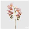 EDG Enzo De Gasperi Orchidea Phalaenopsis Olis Ramo x2 Artificiale H 62 Cm Pink