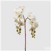 EDG Enzo De Gasperi Orchidea Phalaenopsis Olis Ramo x2 Artificiale H 62 Cm White