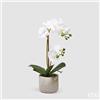 EDG Enzo De Gasperi Orchidea Phalaenopsis Pianta x2 Artificiale con Vaso H 42 Cm White