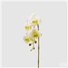 EDG Enzo De Gasperi Orchidea Phalaenopsis Olis Ramo 3D x5 Artificiale H 70 Cm White Yellow