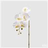 EDG Enzo De Gasperi Orchidea Phalaenopsis Olis Ramo 3D x5 Artificiale H 70 Cm White