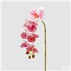 EDG Enzo De Gasperi Orchidea Phalaenopsis Olis Ramo 3D x7 Artificiale H 85 Cm White Pink