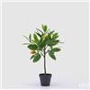 EDG Enzo De Gasperi Pianta Artificiale di Limoni con Vaso H 56 Cm Green Mix