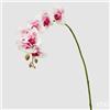 EDG Enzo De Gasperi Orchidea Phalaenopsis Real Ramo Artificiale H 76 Cm White Violet