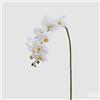 EDG Enzo De Gasperi Orchidea Phalaenopsis Real Ramo Artificiale H 76 Cm White