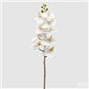 EDG Enzo De Gasperi Orchidea Phalaenopsis Ramo Artificiale H 94 Cm White