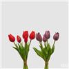 EDG Enzo De Gasperi Bouquet di 5 Tulipani Olis Ass. H 26 Cm Lilac 1 Pz
