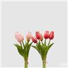 EDG Enzo De Gasperi Bouquet di 5 Tulipani Olis Ass. H 26 Cm Two Tone Pink 1 Pz