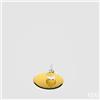 EDG Enzo De Gasperi Base Specchio Rotondo D 12 Cm Gold Vetro
