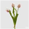 EDG Enzo De Gasperi Bouquet 3 Tulipani Parrot con Foglie Artificiali H 51 Cm White Violet