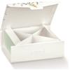 Scotton Gift Scatola Portaconfetti 100 x 100 x 40 Mm con Divisorio Botanica 10 Pz