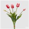 EDG Enzo De Gasperi Bouquet 5 Tulipani con Foglie Artificiali H 48 Cm Dark Pink