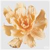 EDG Enzo De Gasperi Peonia Jumbo da Appendere H 90 Cm D 160 Cm Yellow Orange