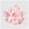 EDG Enzo De Gasperi Peonia Jumbo da Appendere H 70 Cm D 100 Cm Light Pink