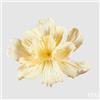 EDG Enzo De Gasperi Peonia Jumbo da Appendere H 70 Cm D 100 Cm Light Yellow