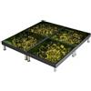 Silani Pedana Lumiosa Calpestabile con MicroLed 60 x 60 x 18 Cm Luce Calda