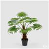 EDG Enzo De Gasperi Palma Cameruys con Vaso Artificiale H 100 Cm Green