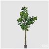EDG Enzo De Gasperi Ficus Lyrata con Vaso Artificiale H 275 Cm Green