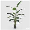 EDG Enzo De Gasperi Strelitzia Chic con Vaso Artificiale H 245 Cm Green