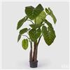 EDG Enzo De Gasperi Alocasia con Vaso Artificiale H 210 Cm Green