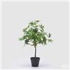 EDG Enzo De Gasperi Acero con Vaso Artificiale H 56 Cm Green