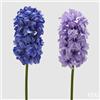 EDG Enzo De Gasperi Ramo Giacinto Artificiale Ass. H 45 Cm Violet Mix 1 Pz