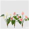 EDG Enzo De Gasperi Bouquet Anturium Artificiale 3 Rami H 45 Cm Ass. Multicolor 1 Pz