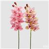 EDG Enzo De Gasperi Ramo Orchidea Cymbidium Artificiale H 80 Cm con Bocciolo Ass. Two Tone Pink 1 Pz