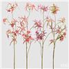 EDG Enzo De Gasperi Ramo Orchidea Caladenia Artificiale H 110 Cm Ass. Pink Mix 1 Pz