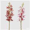 EDG Enzo De Gasperi Ramo Orchidea Cymbidium Artificiale H 70 Cm Ass. Two Tone Pink 1 Pz
